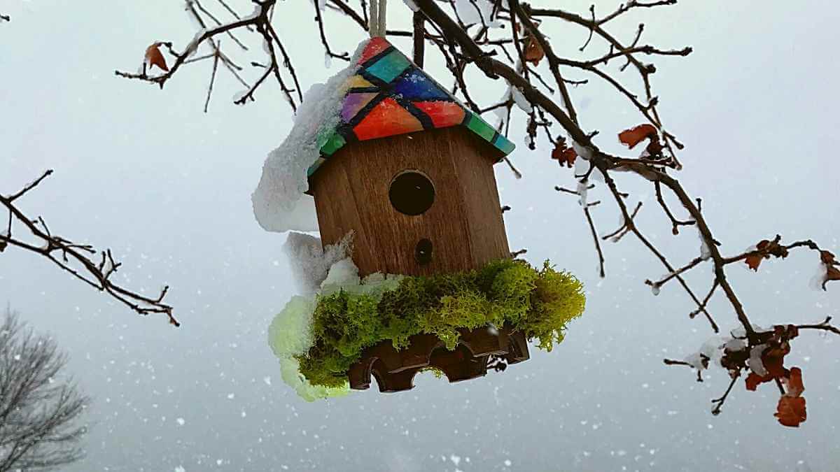 Maison à oiseaux par les Artistes Anonymes du Bronx - entourée de verdure