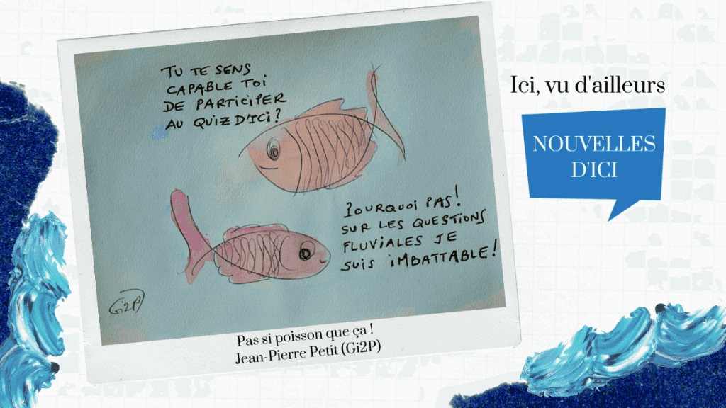 Pas si poisson que ça : QuizDici, un quiz interactif sur l'actualité d'ici - mars 2021 Crédit photo : Jean-Pierre Petit