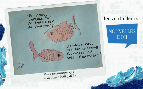 Pas si poisson que ça : QuizDici, un quiz interactif sur l'actualité d'ici - mars 2021 Crédit photo : Jean-Pierre Petit