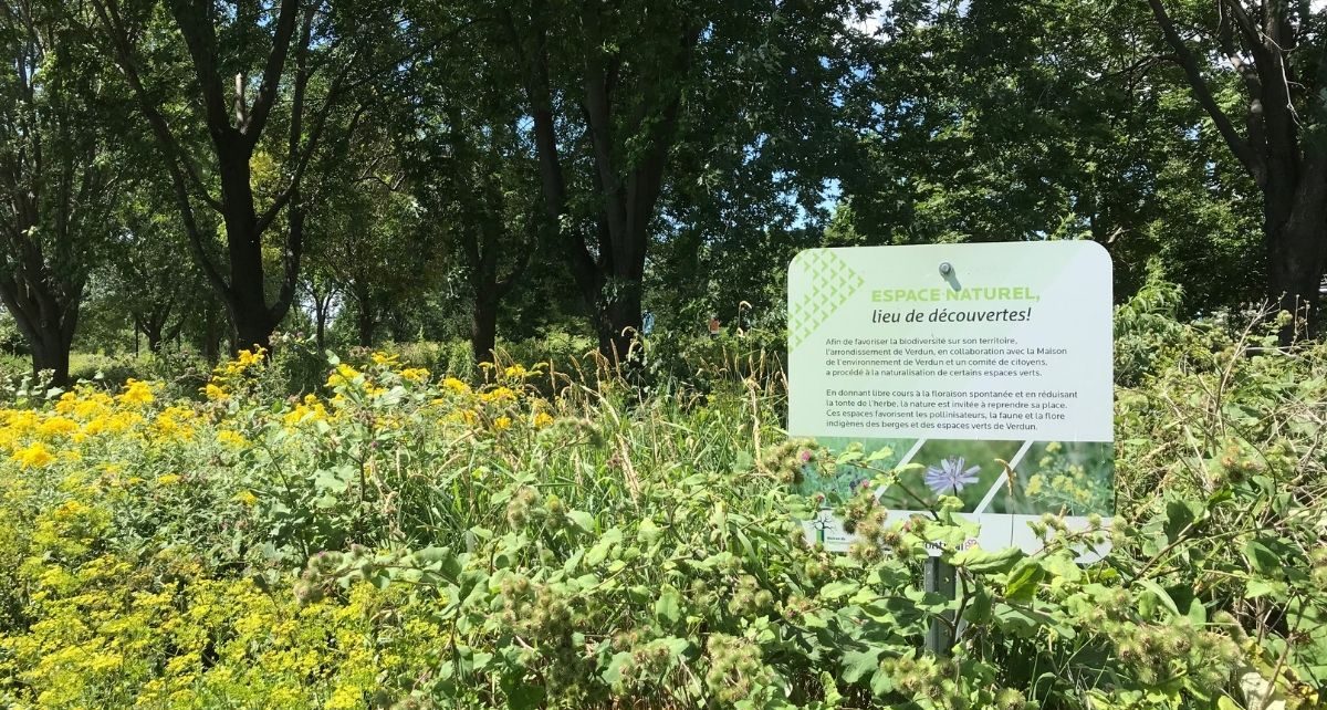 Jardin de la Biodiversité à Verdun