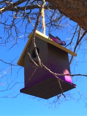 Maison à oiseaux par les Artistes Anonymes du Bronx - Papillon sur le toit