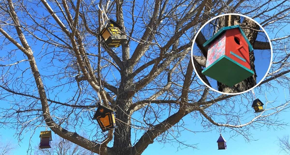 Maison à oiseaux dans les arbres par les Artistes Anonymes du Bronx