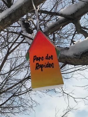 Art d'arbres : petites maisons d'oiseaux peintes (décembre 2022) 