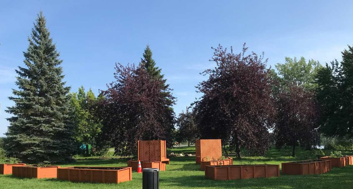 Jardin collectif au parc des Rapides (Juillet 2023)