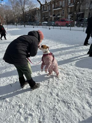 Une femme communique avec sa chienne qui porte un manteau rose.