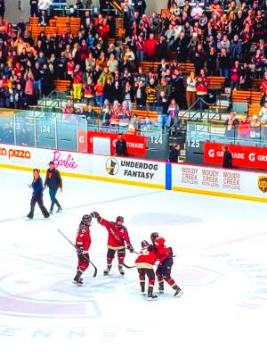 Montréal-Ottawa à la Place Bell à Verdun en hockey féminin professionnel (24 février 2024)